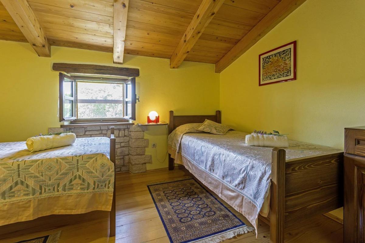Villa Galant In Prkacini à Žminj Extérieur photo